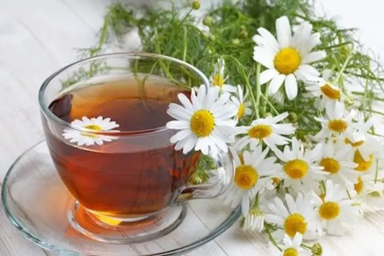 Receita de Chá de Camomila os Benefícios para Saúde