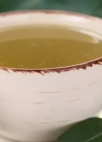 Chá de guaco com Eucalipto