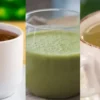 Receitas e benefícios ao consumir o chá de Guaco regularmente