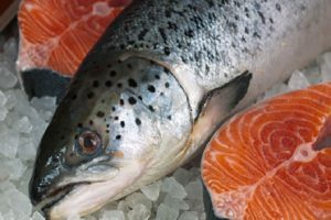 Dicas Para Deixar suas Carnes Mais Macias