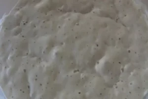 Receita de Fermento Biológico Caseiro