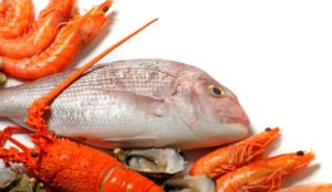 10 Alimentos para melhorar a imunidade do corpo Peixes e Frutos do Mar
